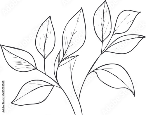 Simple line drawing of a plant with elongated leaves in abstract style. Vector illustration