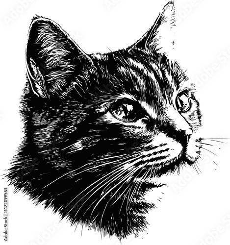 Black and white illustration of a cat's face with detailed fur texture. Vector illustration