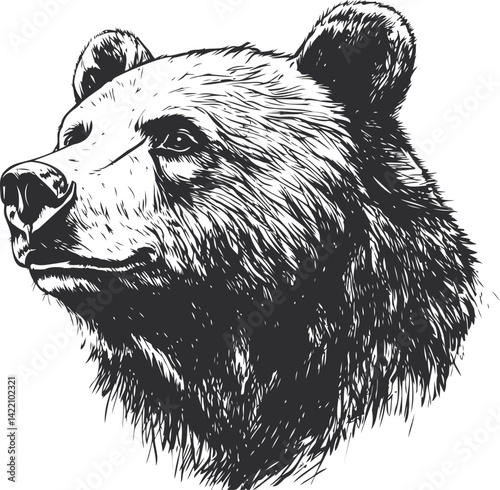 Detailed black and white illustration of a bear's head with fine fur details. Vector illustration