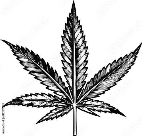 Black and white illustration of a cannabis leaf design concept drawing. Vector illustration