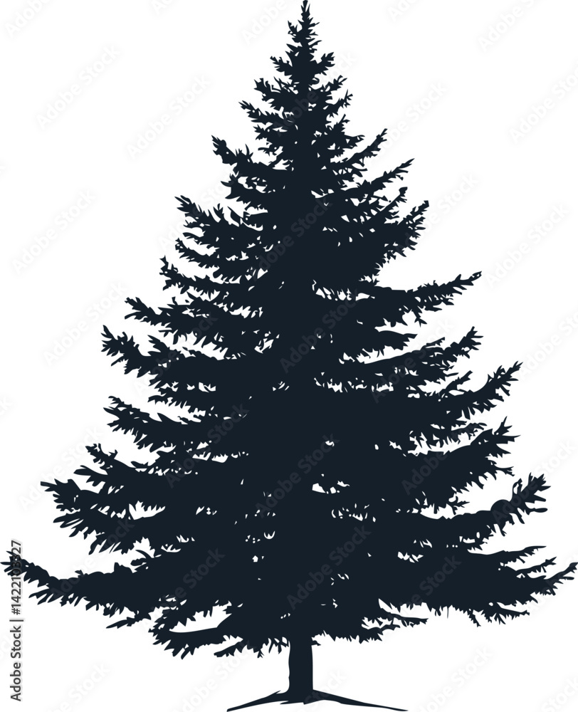 Silhouette of a tall evergreen pine tree, nature illustration. Vector illustration Silhouette of a tall evergreen pine tree, nature illustration. Vector illustration