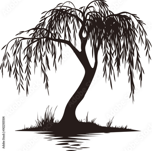 Silhouette of a weeping willow tree by a pond with drooping branches. Vector illustration