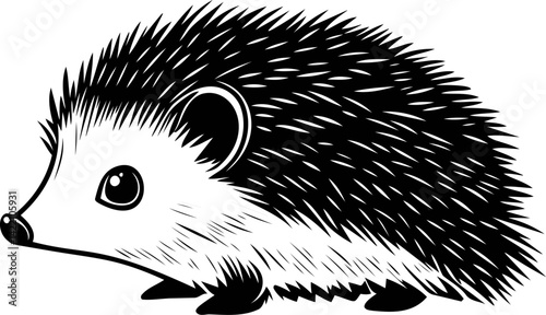 Black and white illustration of a cute hedgehog with detailed spines. Vector illustration