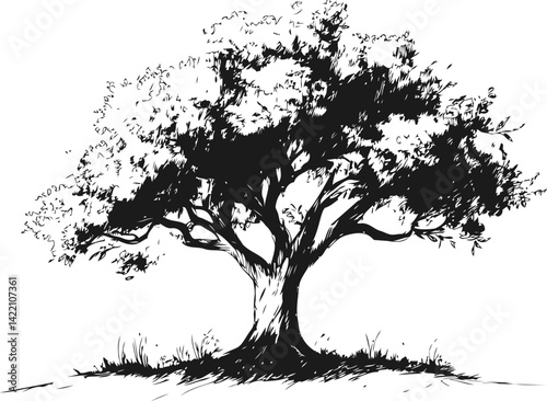 Black and white illustration of a large leafy tree silhouette. Vector illustration