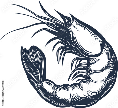 Intricate black and white shrimp illustration with detailed linework. Vector illustration
