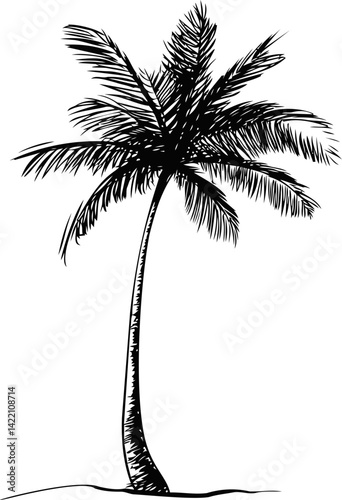 Silhouette of a palm tree, nature illustration. Vector illustration