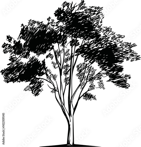 Artistic black and white sketch of a solitary tree. Vector illustration