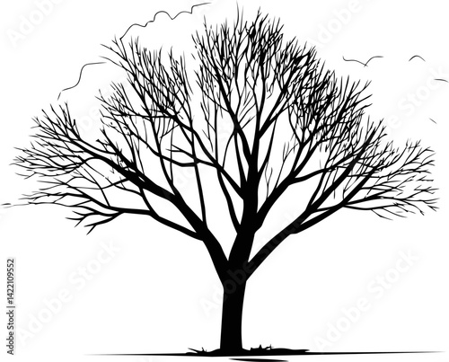 Silhouette of a leafless tree with birds flying. Vector illustration