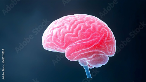 Digital Rendering of a Human Brain in Pink and Blue Hues