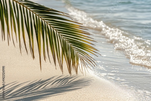 Tropical beach scene with palm leaf shadow