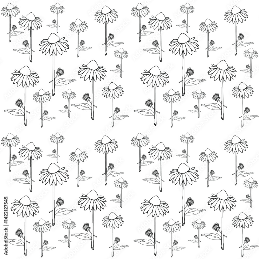 Obraz premium Delicate Coneflower Outlines - A Serene Pattern for Botanical Appreciation