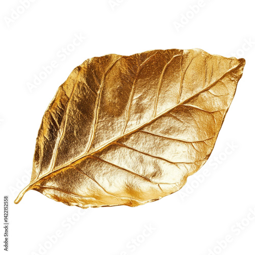 Golden leaf on black background elegant nature art design