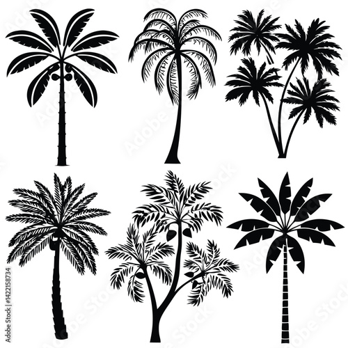 Black and White Palm Tree Silhouettes Collection,
Hand-Drawn Palm Tree Illustrations,
Stylized Palm Trees Clipart Set.
