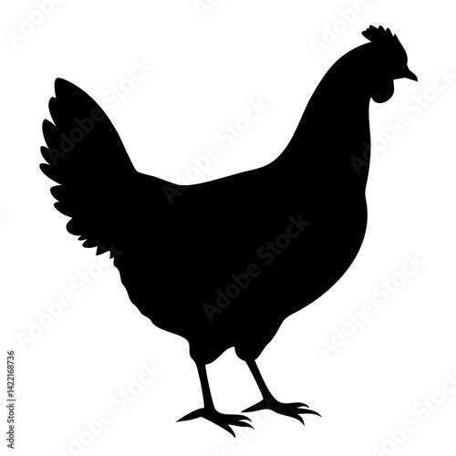 Silhouette of a chicken standing on a white background with distinct feathers and posture during mid-afternoon