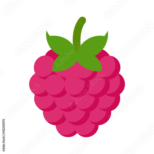 Raspberry vector illustration