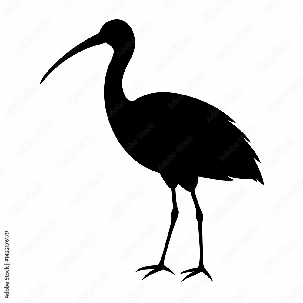 Fototapeta premium Ibis silhouette vector isolated on white background