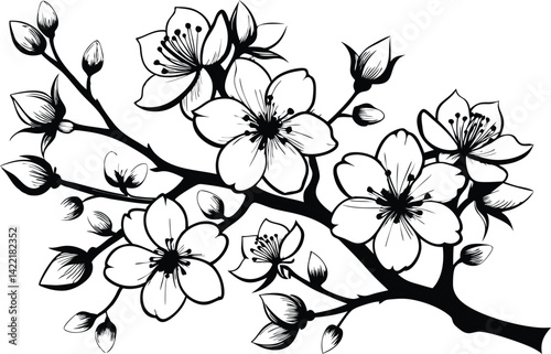 Elegant Cherry Blossom Line Drawing – Black & White Botanical Vector Art