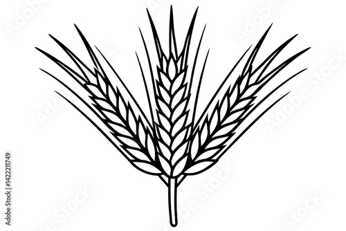 ears of wheat