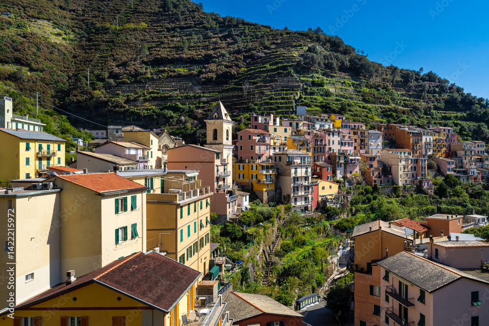 Fototapeta premium Les terrasses de Manarola