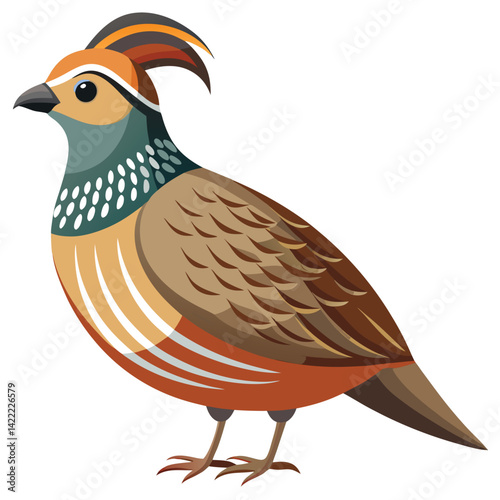 Quail birds set shilhotee vector isolated on white background 