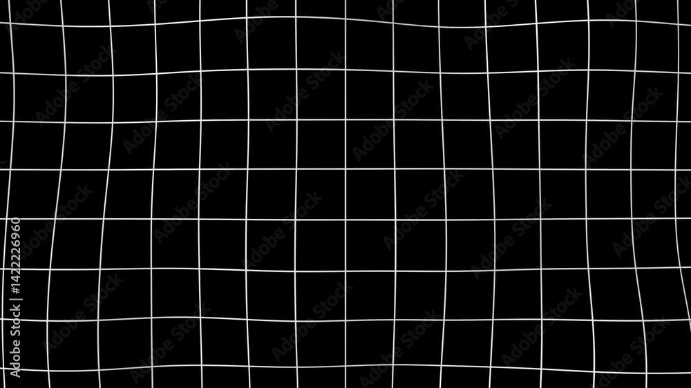 A white grid on a black background. Warp animation