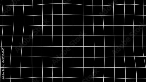 A white grid on a black background. Warp animation