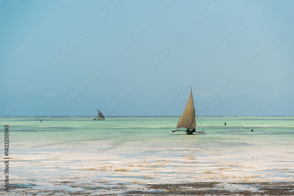 Obraz premium Traditional dhow boats sailing in turquoise water, zanzibar, tanzania