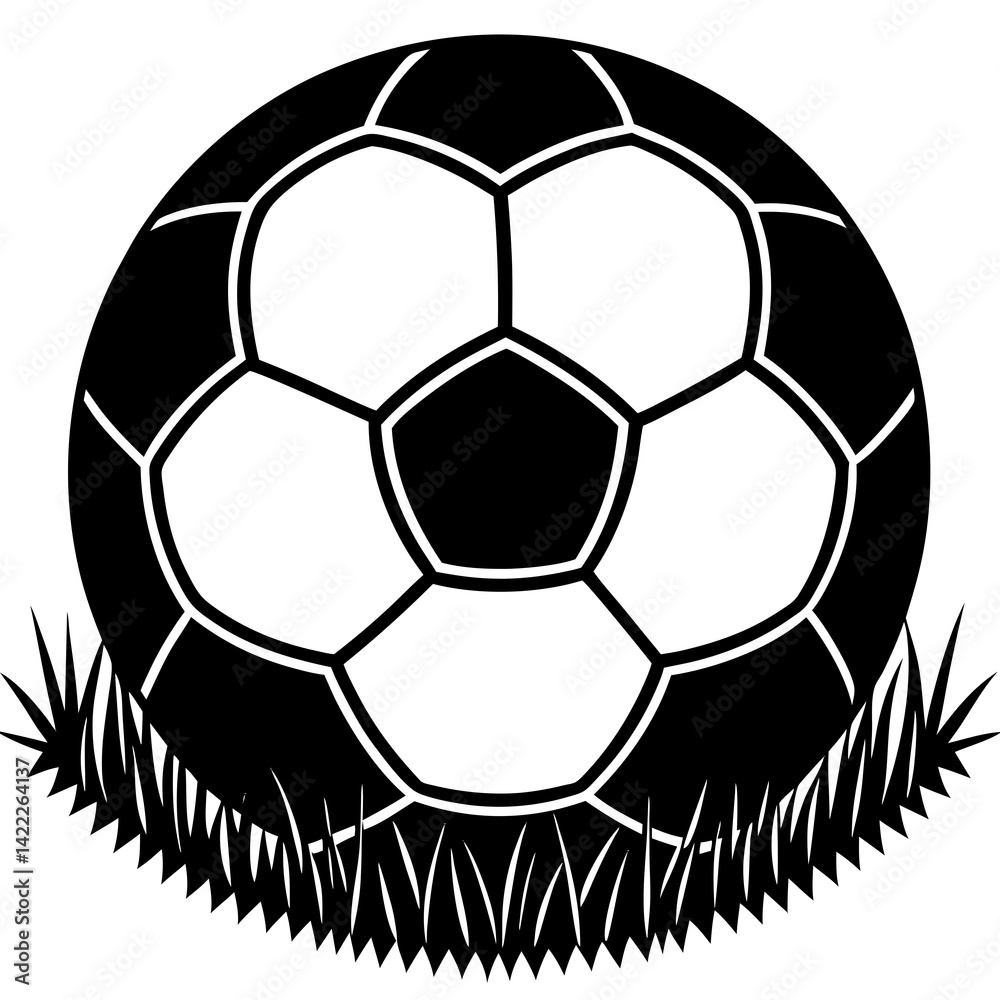 Obraz premium soccer ball vector