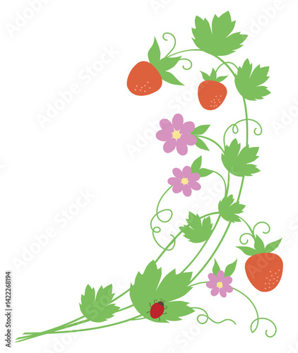 Ripe red strawberries twigs, flowers, leaves, tendrils, ladybird, floral corner, vector illustration isolated on white