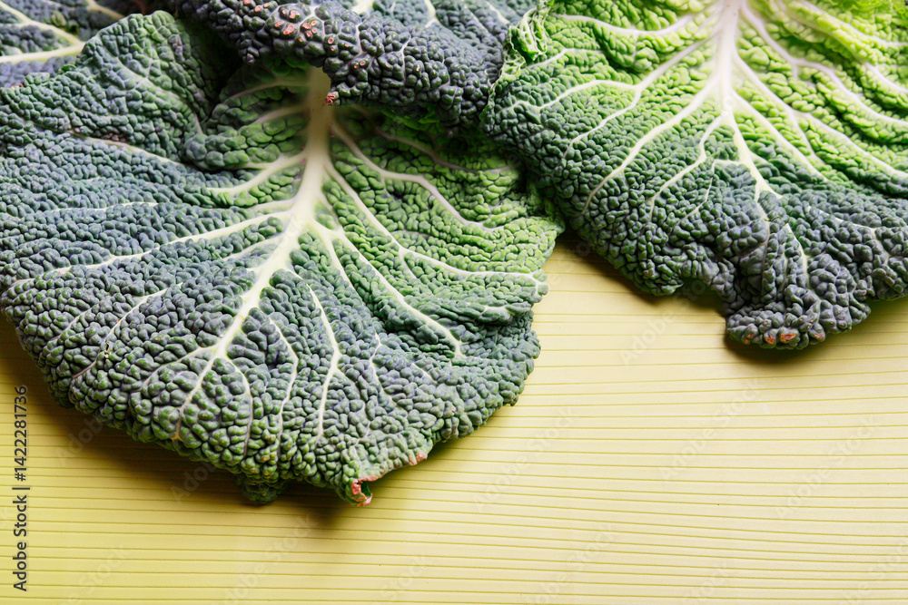 The structure of a cabbage leaf seen from very close up. A natural background that is a symbol of the planet earth. NOT AI generated