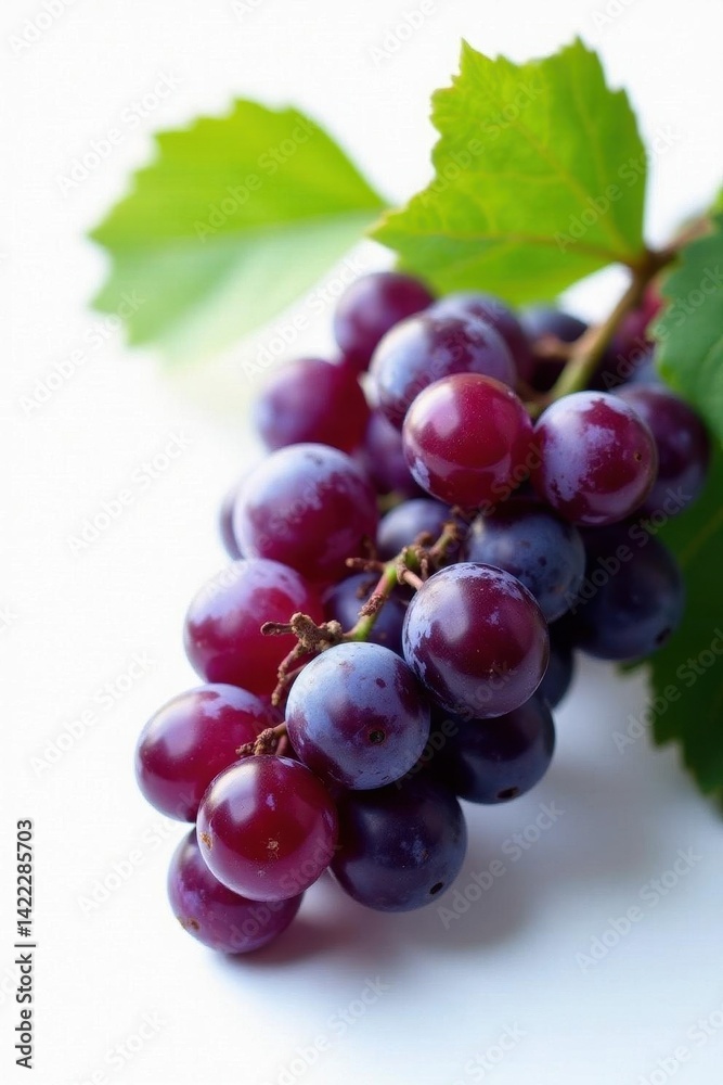 Fototapeta premium Dark purple globe grapes, bright white background, close-up, details, food, natural