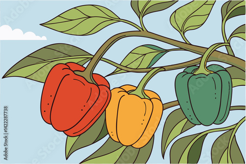Colorful Bell Peppers on Plant Branch Fresh Organic Produce