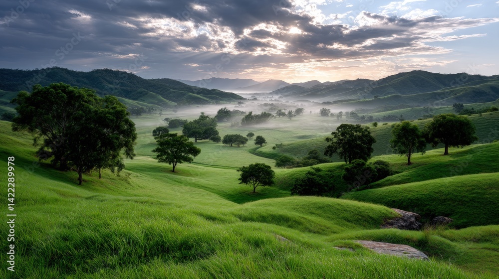 Fototapeta premium Sunset over misty rolling hills with scattered trees