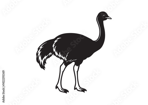 Ostrich silhouette vector