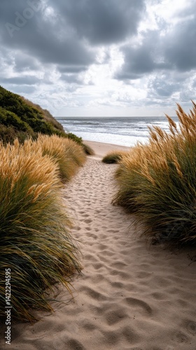 Windswept beach with dunes and overcast skies