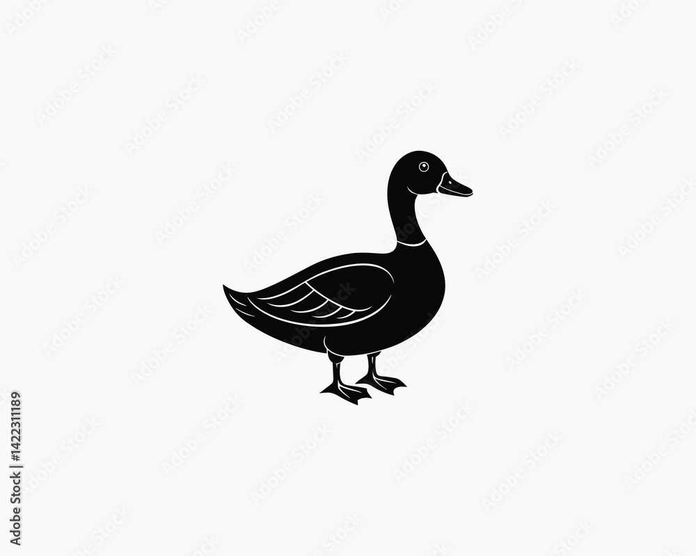 duck cute water bird vector illustration design 