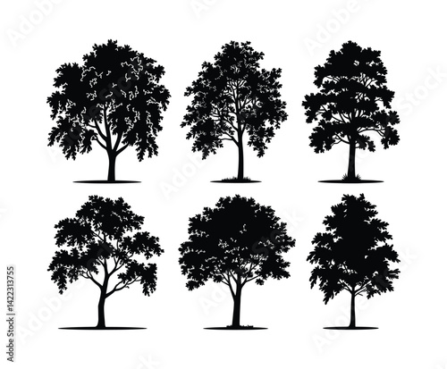 Birch Tree Isolated Silhouette Collection Vector Template