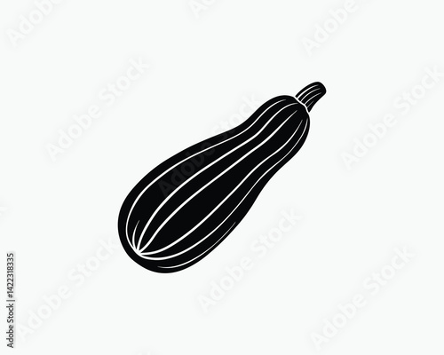zucchini green garden squash vector illustration design 