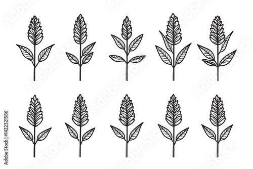 Buckwheat Minimalist Design Icon Art Style