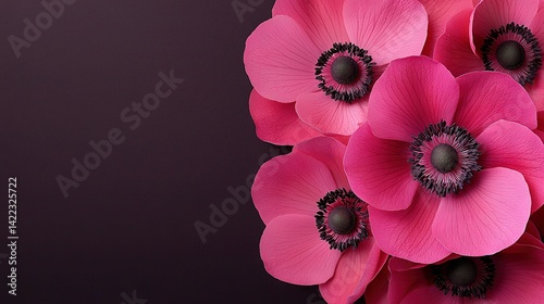 Obraz na płótnie A close-up of pink flowers on a purple background with a black center and smaller pink flowers surrounding it w salonie