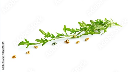   A sprig of lettuce on a white background with other leaves and nuts surrounding it