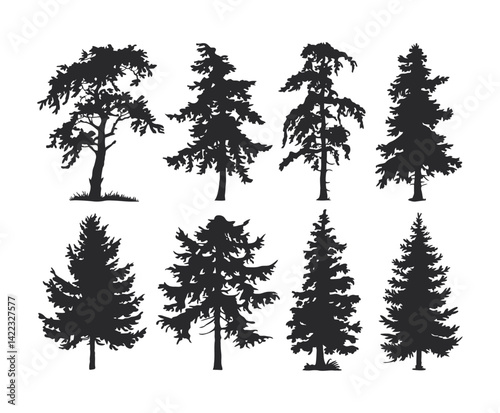 Isolated Cedar Tree Silhouette Template