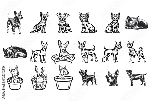 American Hairless Terrier SVG Bundle