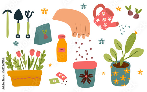 Vector set of garden pots and plants in pots isolated on white background. Bunch of house plants and replanting. Large set of garden elements.