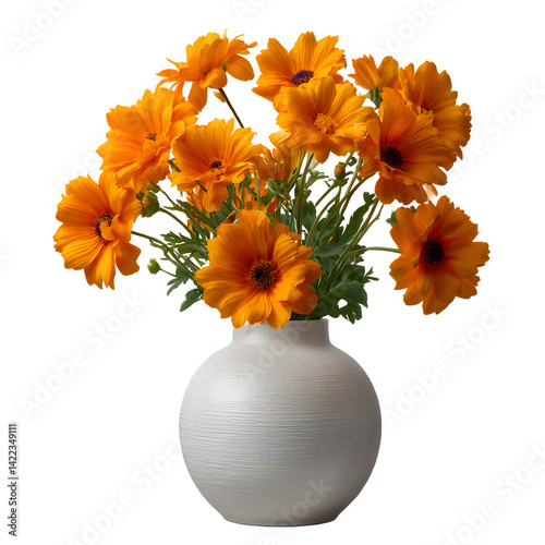 A white vase holding a vibrant bouquet of orange flowers with dark centers on a black background