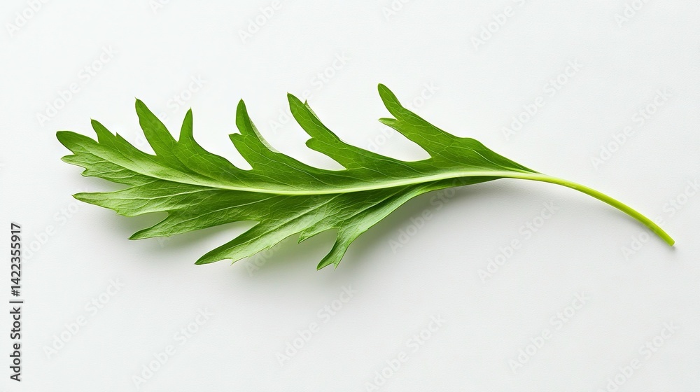 Obraz premium A detailed view of an emerald foliage against a snowy background, featuring a subtle mirror effect from behind the leaf