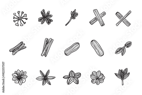 Clove Icon Elegant Line Art