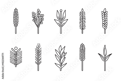 Cornmeal ultra minimalist line art