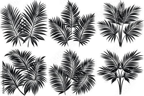Palm leaves silhouette vector illustration isolated on white background.