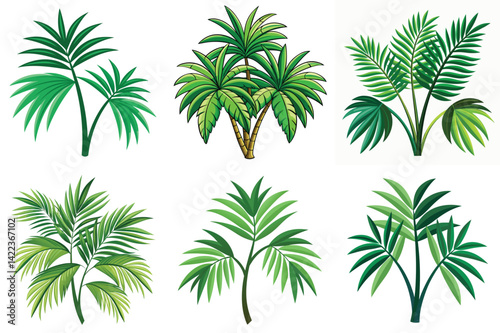 Palm leaves vector illustration isolated on white background.